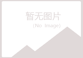 日照岚山忆伤服务有限公司